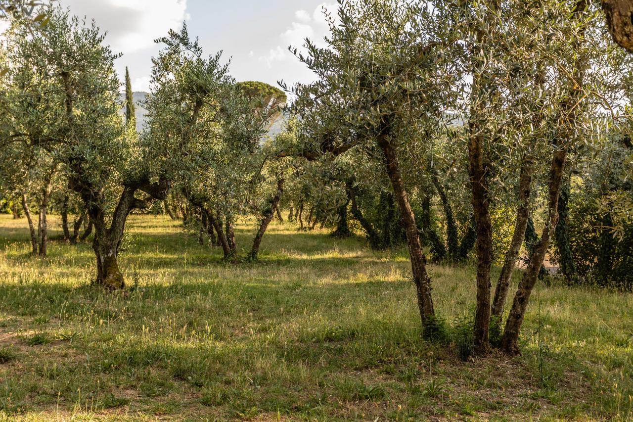 Hotel Ristorante Casa Volpi Arezzo Buitenkant foto